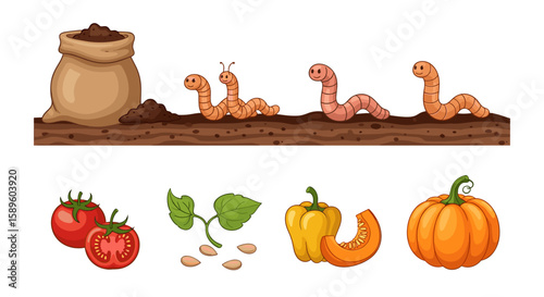 Illustration showing a bag of soil with worms and various vegetables like tomatoes and pumpkins in garden