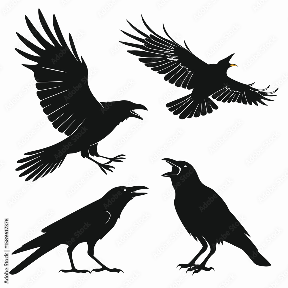 Fototapeta premium Four Black Crow Silhouettes Different Poses Graphic 1
