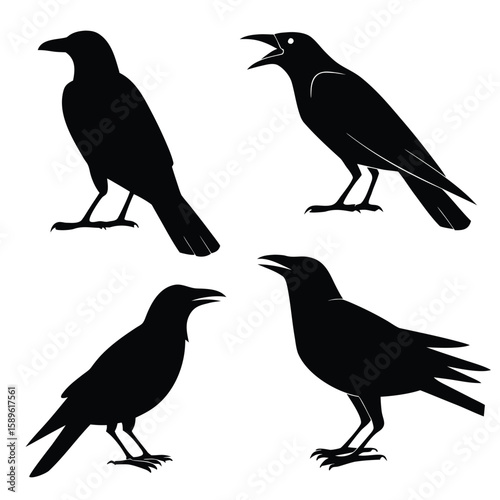 Four Black Crow Silhouettes Different Poses Graphic