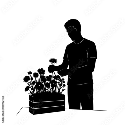 Man gardening and caring for flowers in a planter box  