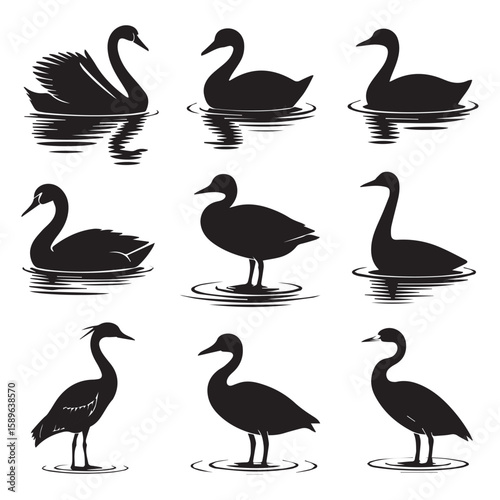 Vector art of a collection of various waterfowl silhouettes, including swans, ducks, and herons, isolated on white background
