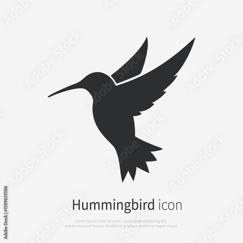 Hummingbird silhouette logo. Black icon small exotic bird colibri isolated on white background. Vector illustration side view