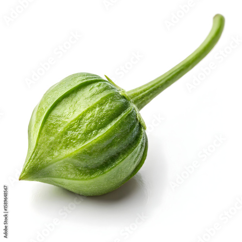 A single unprocessed caper bud, tangy and briny, commonly used