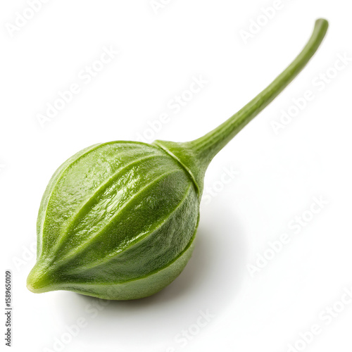 A single unprocessed caper bud, tangy and briny, commonly used