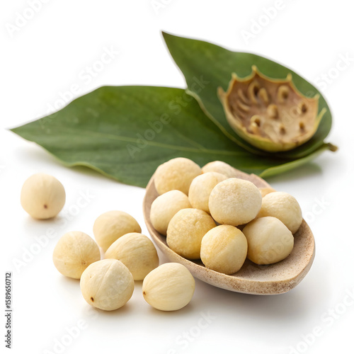 A single whole dried lotus seed, nutritious and mildly sweet, used in cooking,