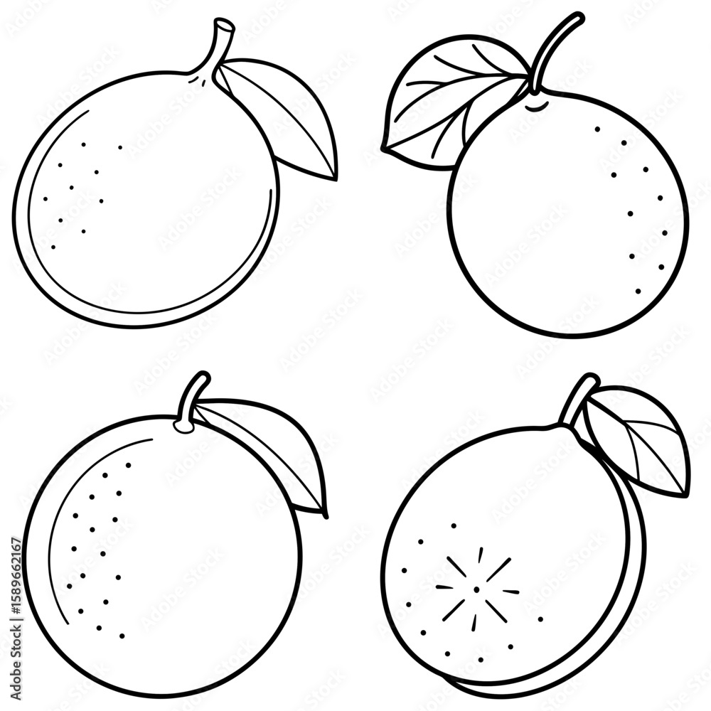 Obraz premium Lime Coloring Page – Fresh Citrus Fruit Line Art Illustration for Kids and Adults