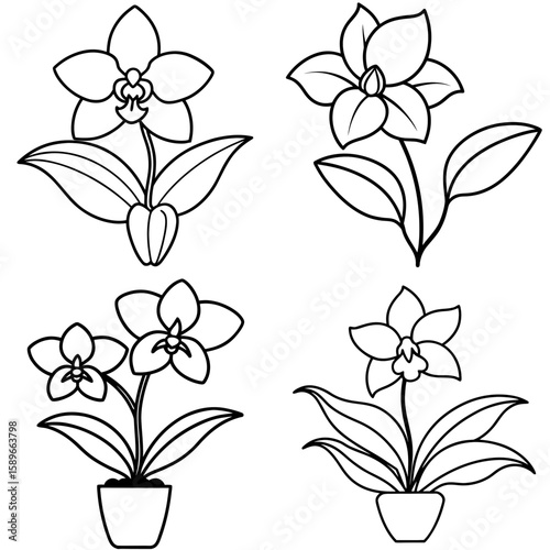 Orchid Plant Coloring Page – Exotic Flower Line Art Illustration for Kids and Adults