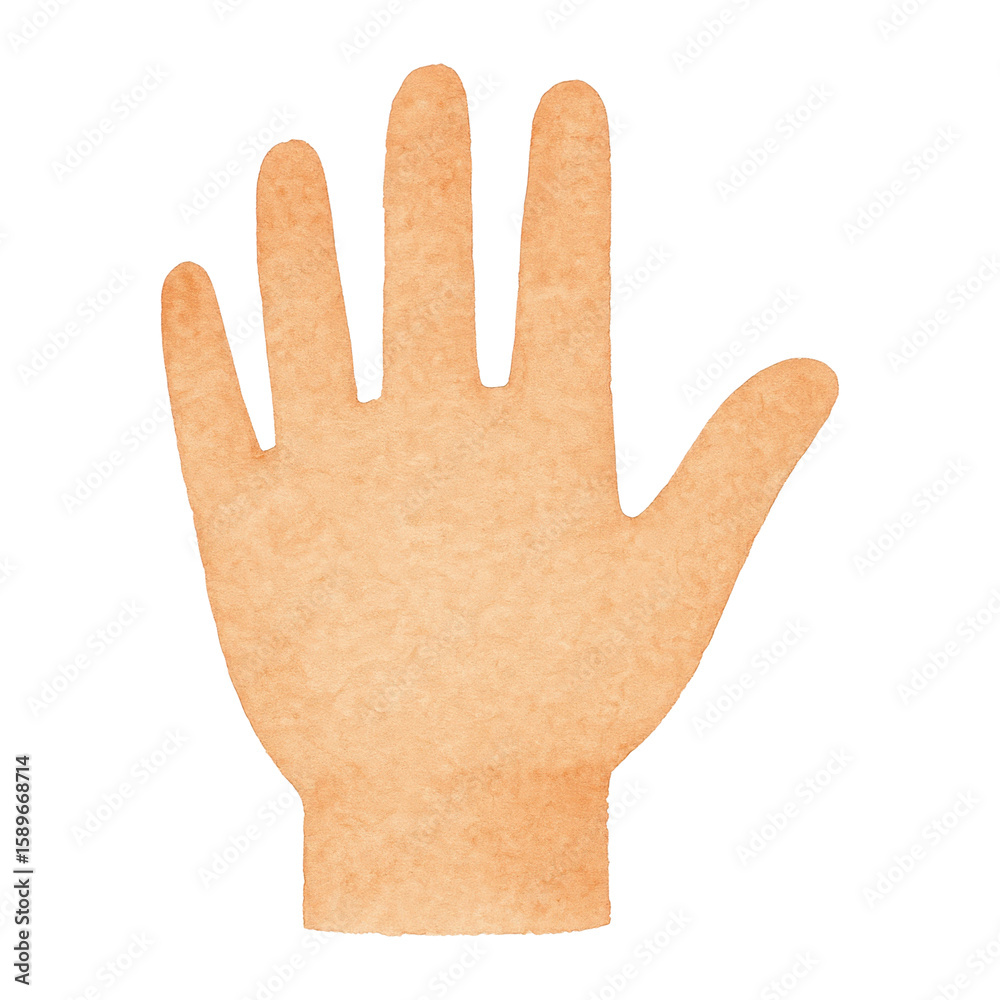 Obraz premium PNG Watercolor hand illustration art.