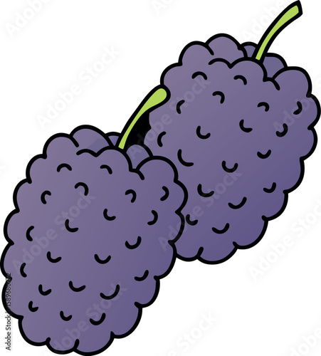 Two Purple Mulberries on a White Background A Delicious Healthy Fruit