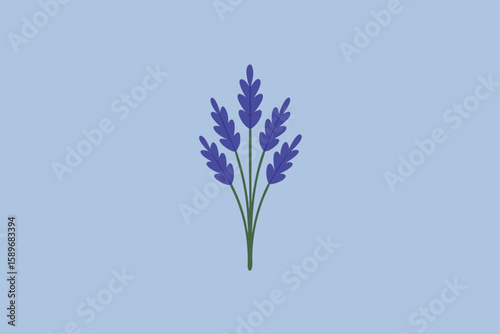 Forget me not flowers blossom in beautiful blue against a blue background, a floral nature image