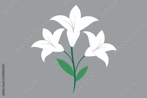 Vector illustration of a white lily of the valley flower with green leaves and a delicate spring floral pattern design