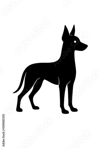 Design a black silhouette of a English Toy Terrier white background clean vector shape