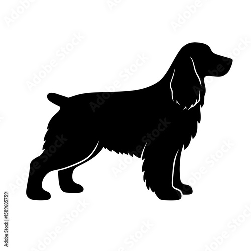Design a black silhouette of a English Springer Spaniel white background clean vector shape