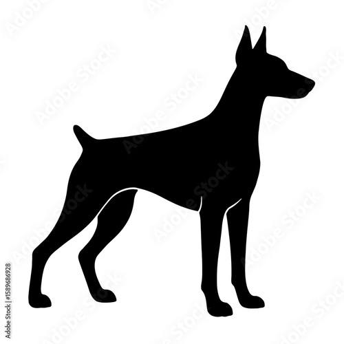 Design a black silhouette of a Doberman Pinscher white background clean vector shape