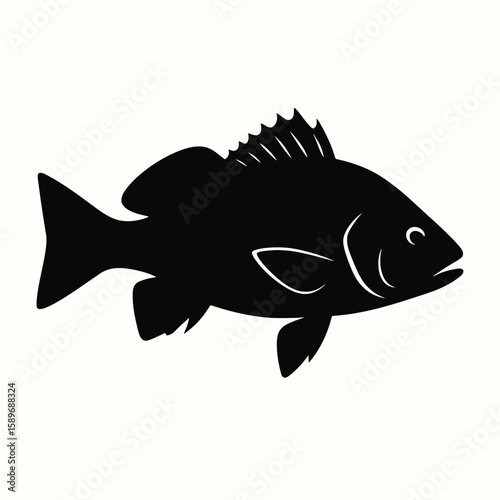 Design a black silhouette of a Freshwater Drum white background clean vector shape
