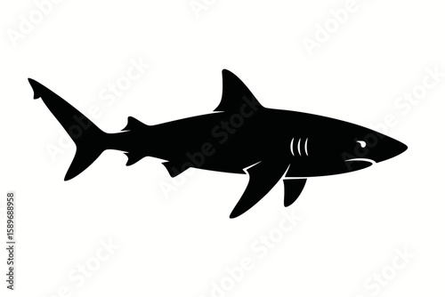 Design a black silhouette of a Galapagos Shark white background clean vector shape