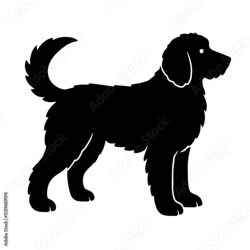 Design a black silhouette of a Goldendoodle white background clean vector shape