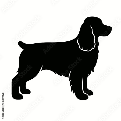 Design a black silhouette of a Cocker Spaniel white background clean vector shape