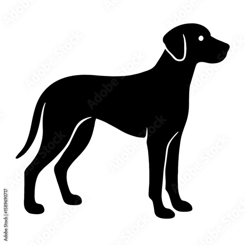 Design a black silhouette of a Great Dane Mix white background clean vector shape