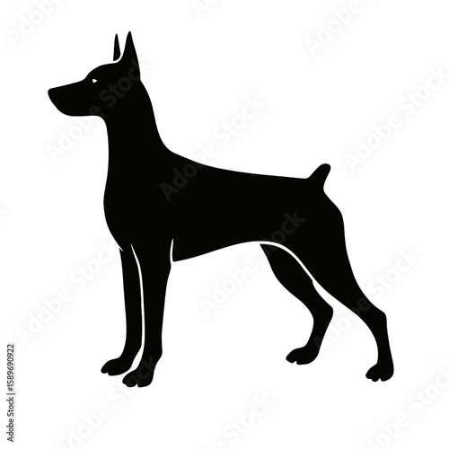 Design a black silhouette of a German Pinscher white background clean vector shape