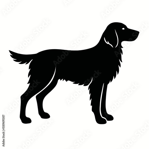 Design a black silhouette of a German Longhaired Pointer white background clean vector shape
