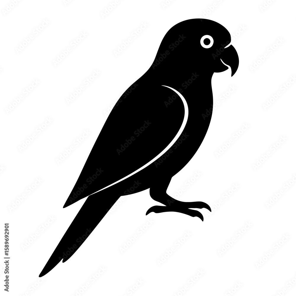 Fototapeta premium Design a black silhouette of a Conure white background clean vector shape
