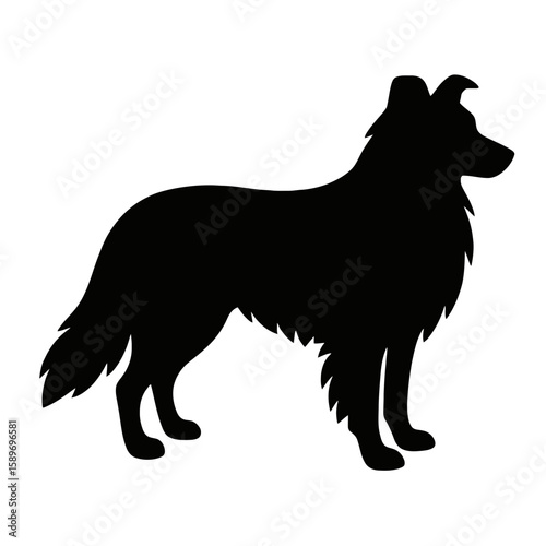 Design a black silhouette of a Collie Mix white background clean vector shape