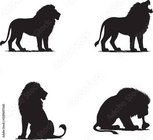 Lion Sitting, Roaring, Walking, and Eating | Wild Animal Behavior in Action black and white silhouette 