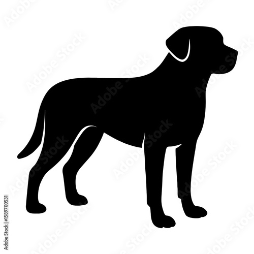 Design a black silhouette of a Greater Swiss Mountain Dog white background clean vector shape