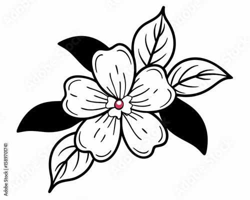 Dogwood Blossom
