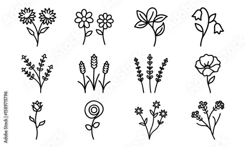 Hand Drawn Floral And Botanical Silhouette Vector Icons – Minimalist Flower And Plant Line Art Collection For Spring, Nature, An (10)