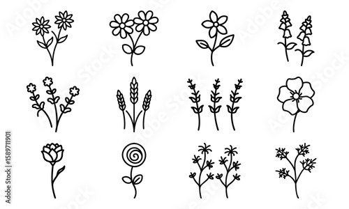 Hand Drawn Floral And Botanical Silhouette Vector Icons – Minimalist Flower And Plant Line Art Collection For Spring, Nature, An (14)