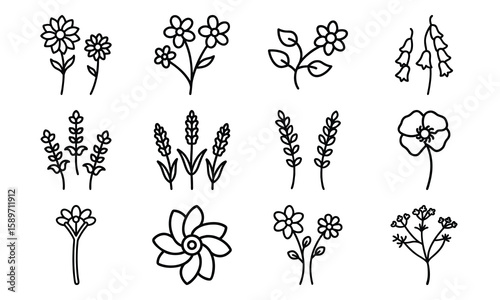 Hand Drawn Floral And Botanical Silhouette Vector Icons – Minimalist Flower And Plant Line Art Collection For Spring, Nature, An (16)