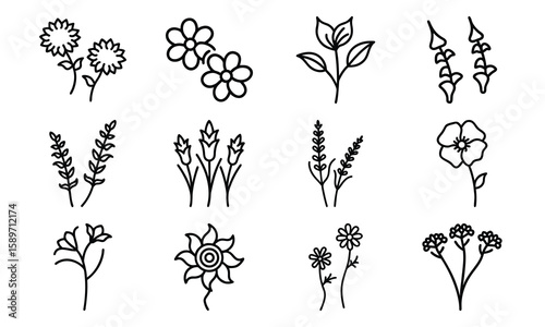 Hand Drawn Floral And Botanical Silhouette Vector Icons – Minimalist Flower And Plant Line Art Collection For Spring, Nature, An (24)