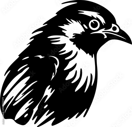 Pigeon | Black and White Vector illustration