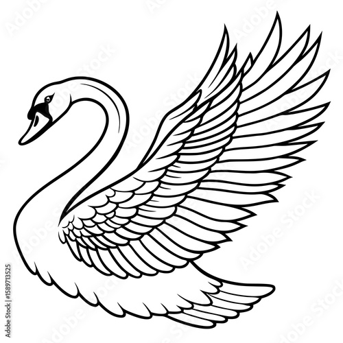 black swan vector, goose coloring page, wings coloring illustration