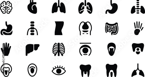 Collection of human organ icons in silhouette style
