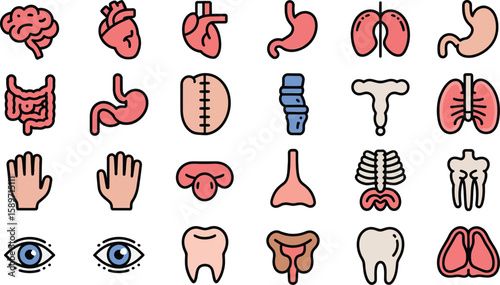 Collection of human organ icons in a flat design silhouette style