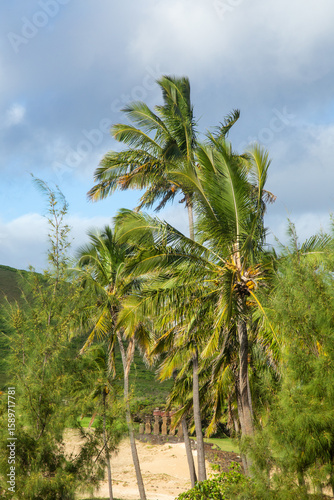 palmeras y moai