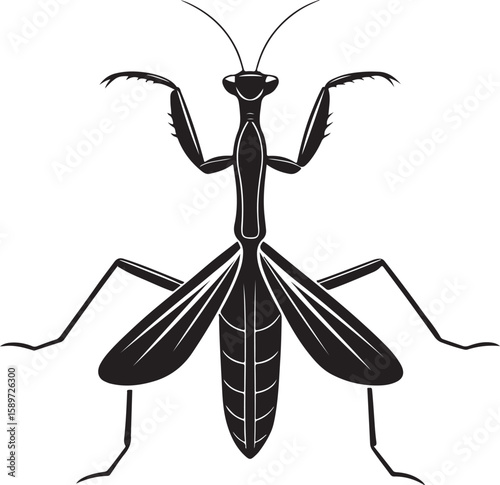 Clean black and white vector illustration of a praying mantis insect in detailed silhouette
