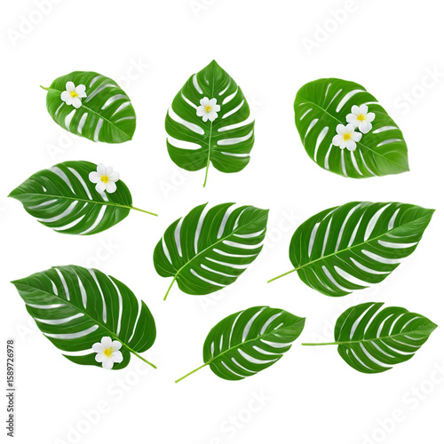 Tropical Leaves and Flowers: A vibrant collection of tropical leaves and delicate white flowers is elegantly displayed, each element radiating freshness, and vitality.