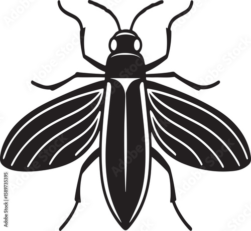 Vector illustration of a stylized black and white insect with open wings