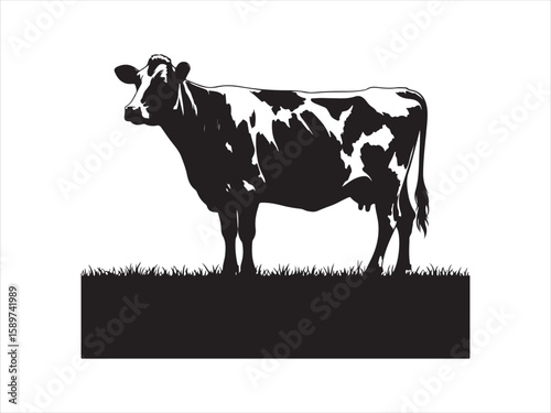 Cow vector, Holstein Friesian Cow Silhouette vector illustration 