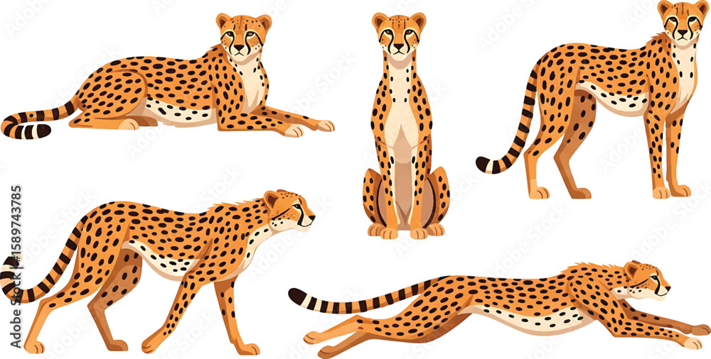 Obraz premium Cartoon Cheetah Vector Collection – Lying, Sitting, Standing, Walking & Running Poses Isolated 