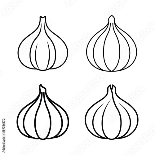 garlic isolated on white background