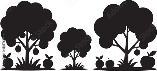 Silhouette of Plum Trees Against Transparent Backdrop Orchard Fruit Tree Botanical Illustration Nature Design
