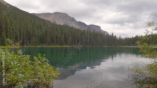 Reflection of of Green Pine Forest on peaceful lake , Natural Landscape, Environmental Concept, Green Pine Trees from Above is a highly marketable visual Landscape for Conservation Theme