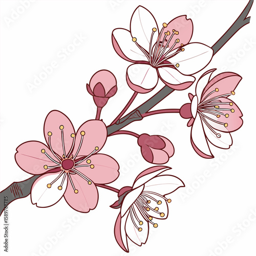 Cherry blossom background beautiful vector free online design.