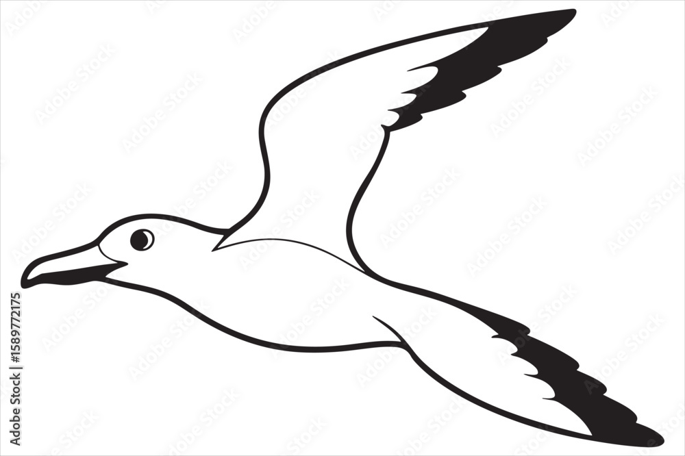 Obraz premium seagull in flight