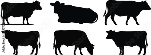 Cow silhouette vector collection, black outline of cattle in various poses, farm animal for agriculture and rural design